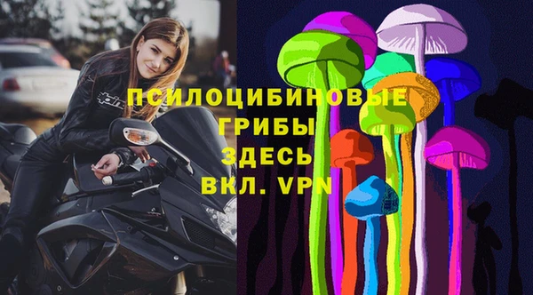 прущая мука Богородск
