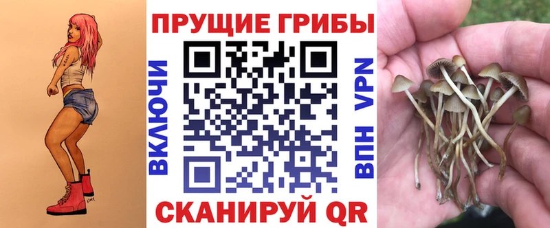 это формула Луховицы Галлюциногенные грибы Cubensis